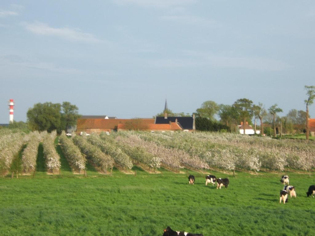 La Vallee Des Trois Monts Saint-Sylvestre-Cappel Екстериор снимка